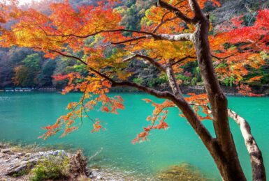 fall foliage over river in Arashiyama near Kyoto, Japan