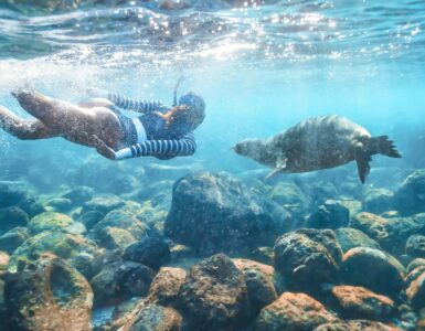 Ecuador and Galapagos Island Hopper