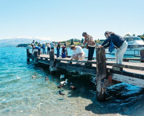 travellers in New Zealand