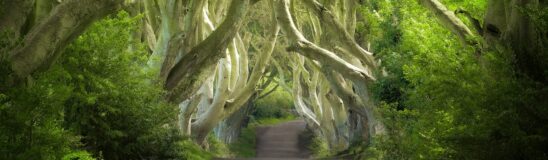 6 Game of Thrones filming locations you need to visit once in your life
