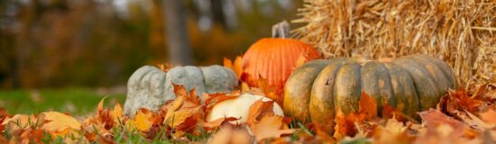 20 of the best destinations to visit for Thanksgiving weekend