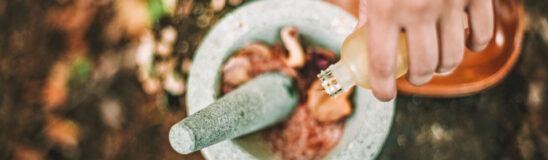 What does Ayurvedic wellness really mean?