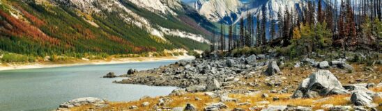 How to explore Jasper National Park on a budget