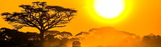 TRIVIA QUIZ! Test your knowledge of Africa