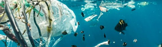 QUIZ! How much do you know about plastic?
