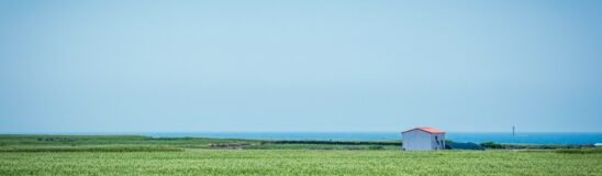 Are you visiting Jeju Island? These are our top travel tips!