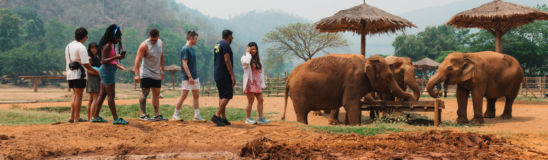 The best spots in Asia you won’t find on TikTok