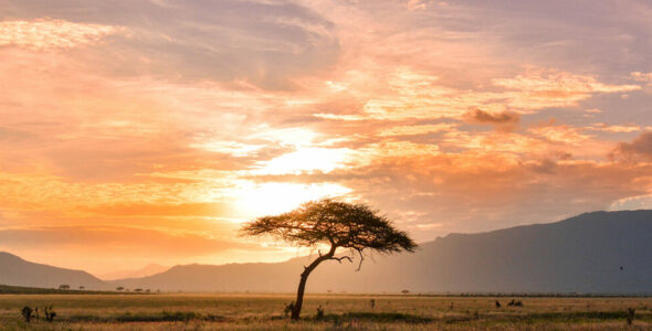 Africa travel guide