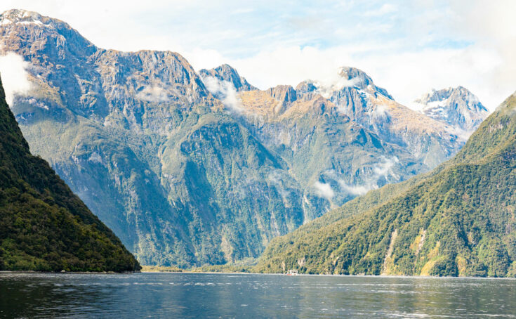 new zealand contiki