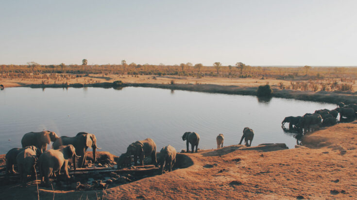 zimbabwe-travel-seasons-in-zimbabwe