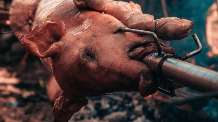 Lechona or suckling pig served at Christma in Amsterdam