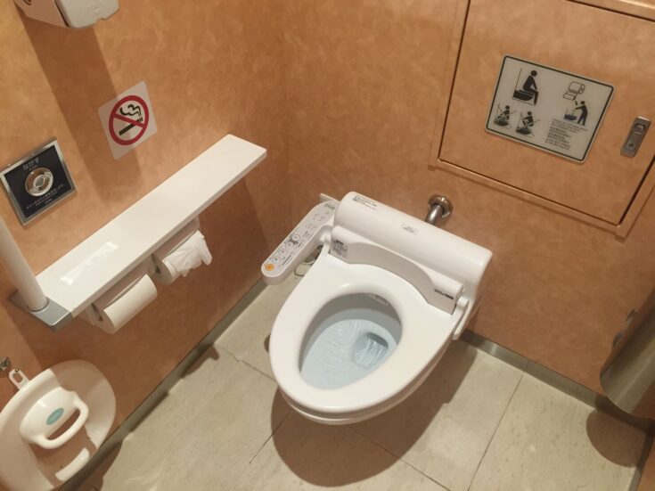 Fancy Toilet