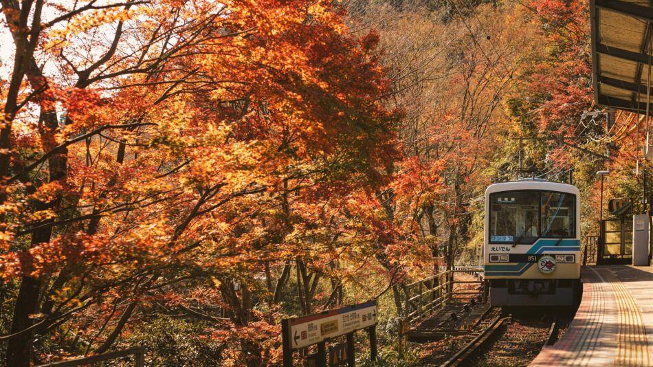 Kyoto in autumn with beautiful leaves