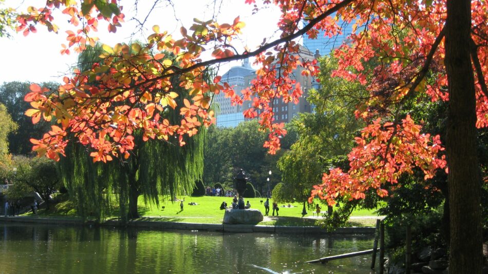 Boston park in september