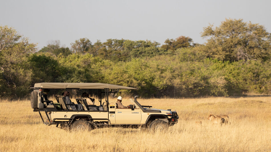 Safari Africa