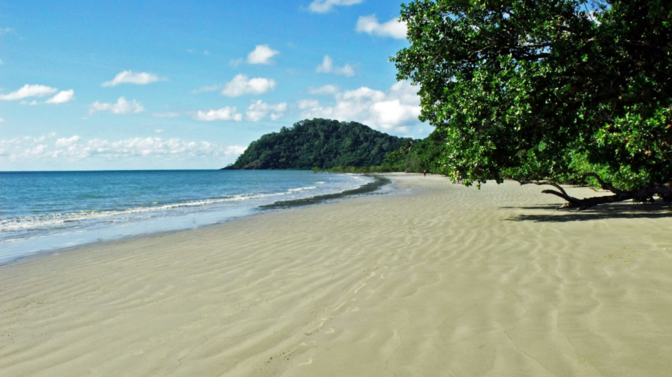 One of the best places to visit in Australia, this sandy beach showcases beautiful trees and an expansive ocean in the background.