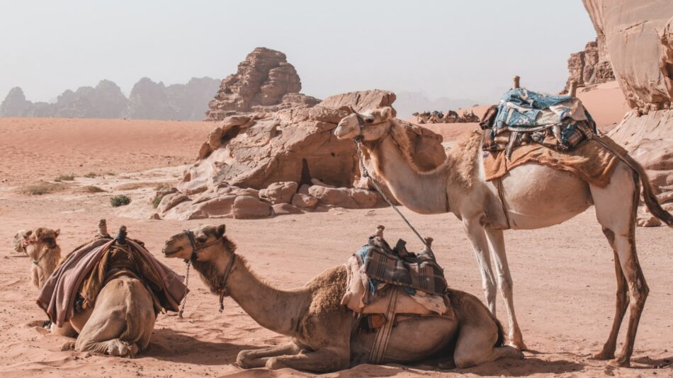 Jordan - Where can Americans travel right now?