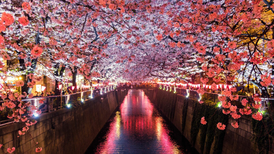 best-season-japan-travel