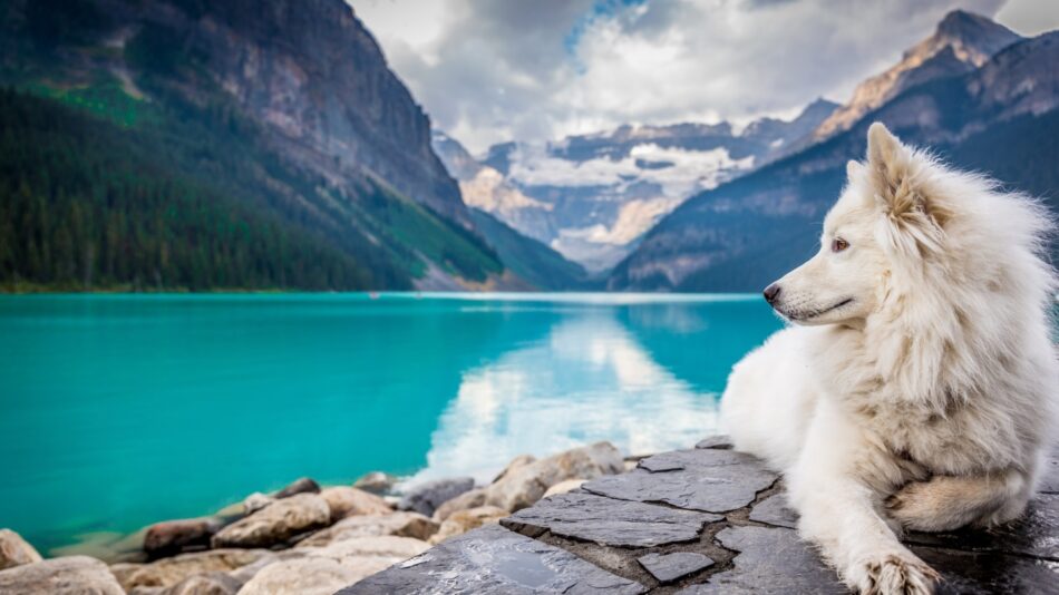 Lake Louise