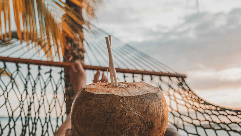 Costa Rica, hammock and coconut
