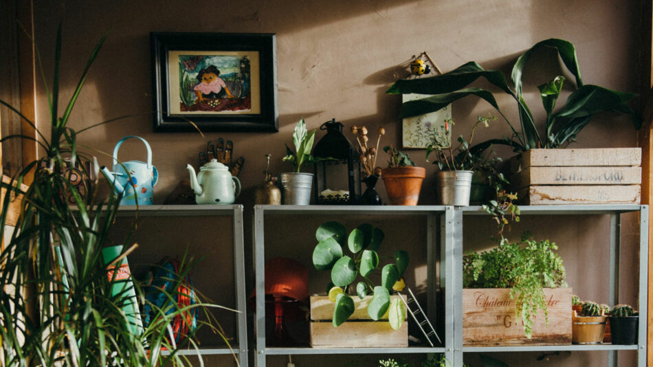 decor ideas