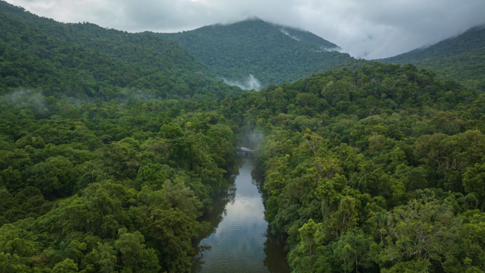 Noah Creek in the Daintree Rainforest in Australia