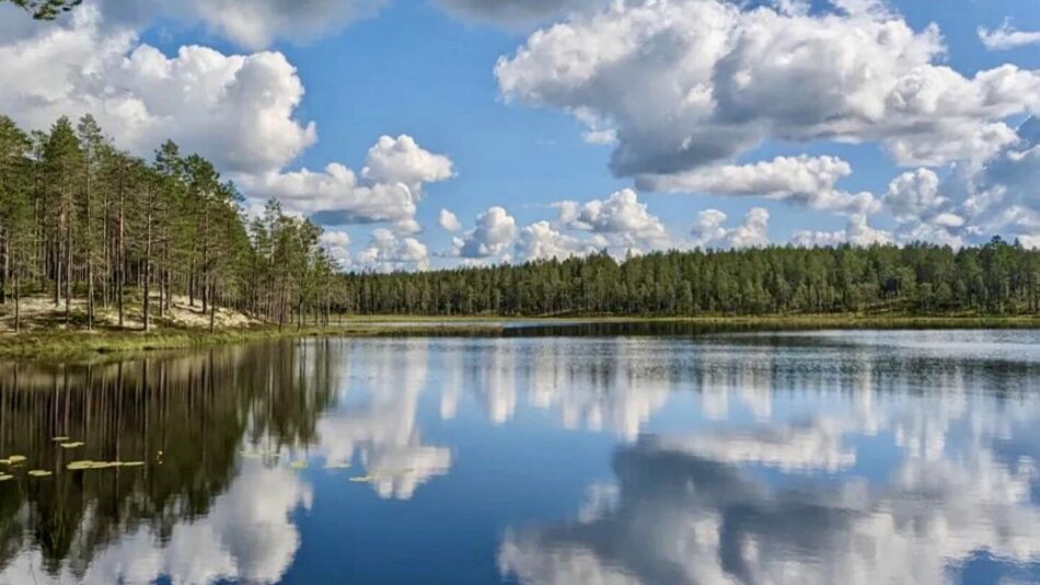 lake view of Torgåsgården in Sweden