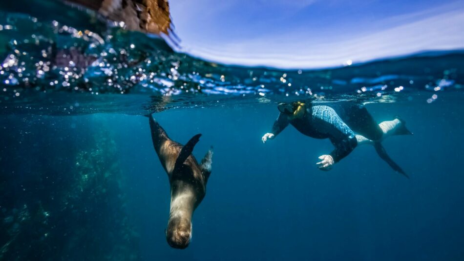 galapagos islands