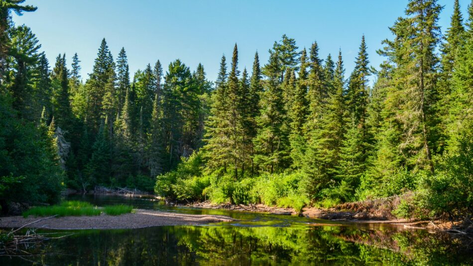 Algonquin Provincial Park, Canada