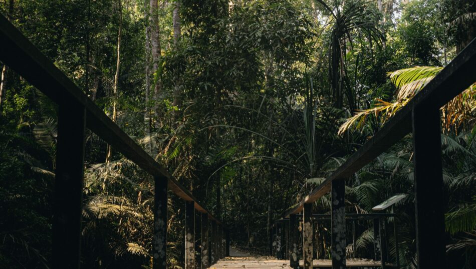 Khao Yai National Park in Thailand