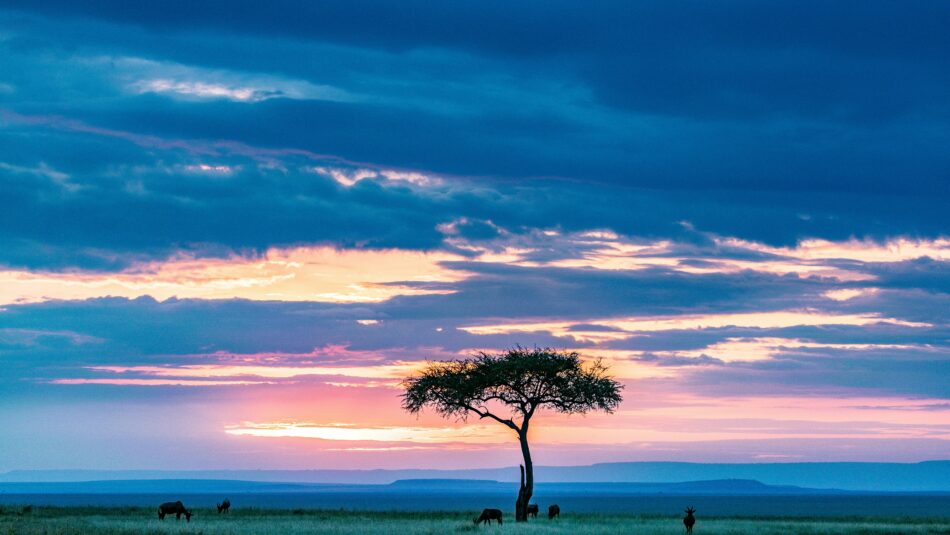 sunset over Masai Mara in Kenya