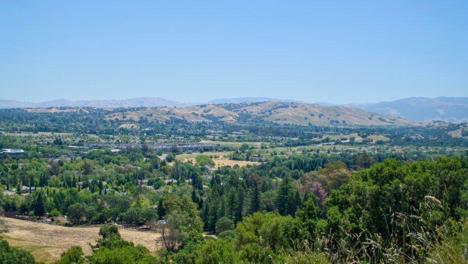 Views of vineyards in Sonoma Valley, California, USA