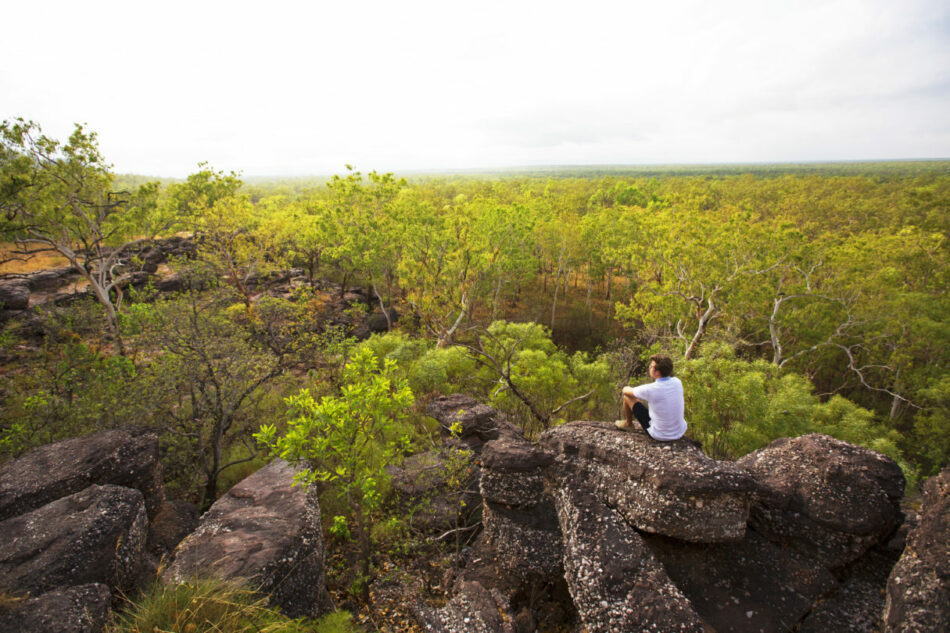 looking out over Kakadu national Park