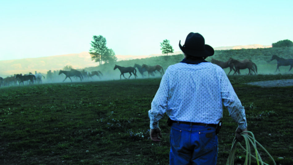 A man in a cowboy hat is standing in front of a herd of horses, showcasing one of the best drives.