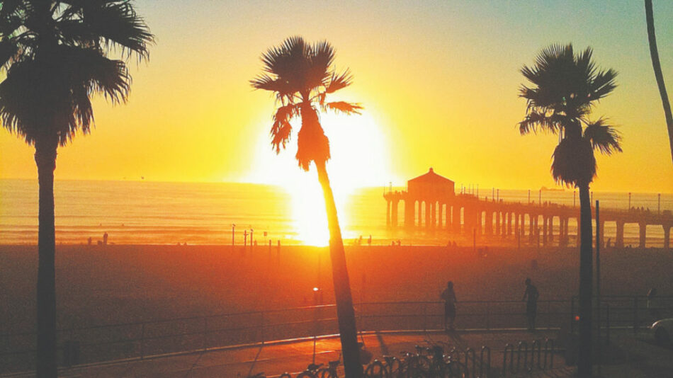 A music documentary captures the sun setting over a beach with palm trees.