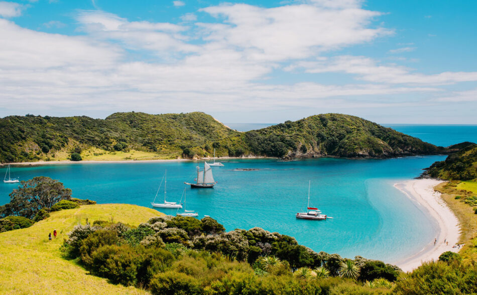 bay of islands in new zealand