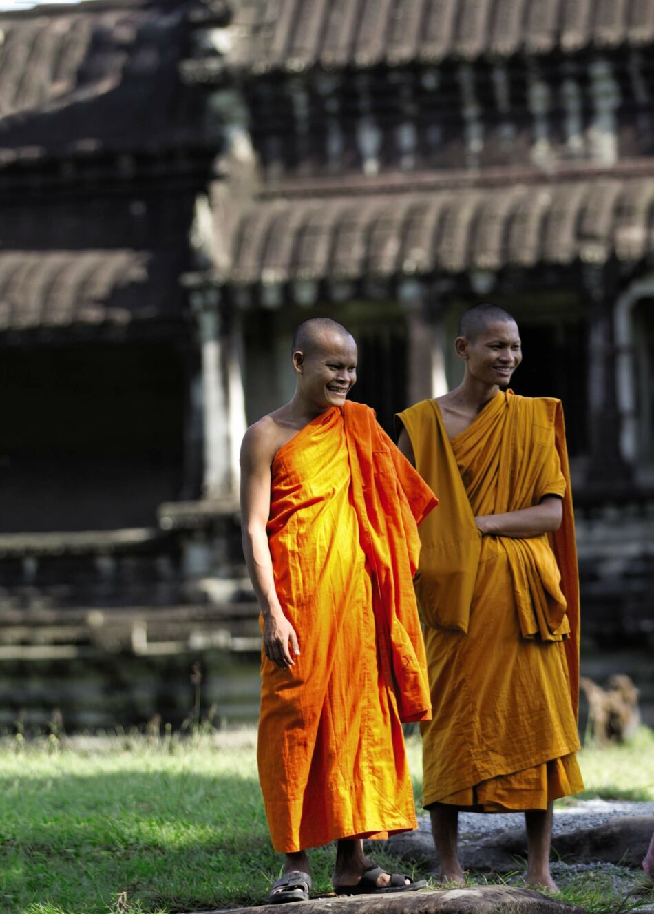 A group of Buddhist monks practicing meditation in orange robes.