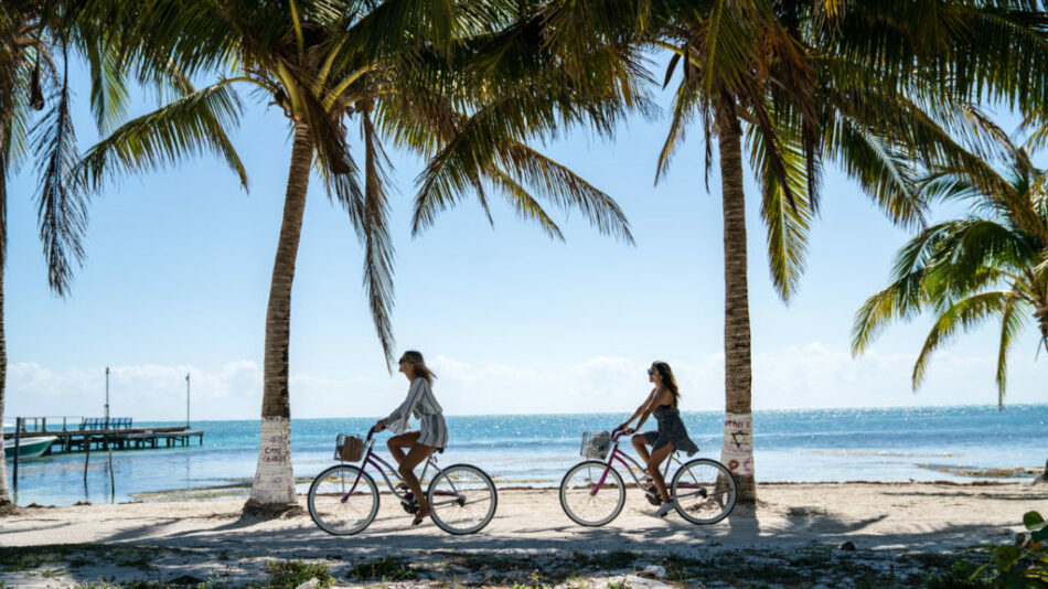 Two friends riding bicycles on the beach under palm trees.