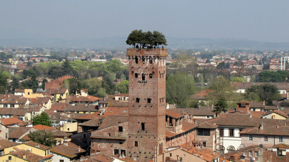 Torre Guinigi in Lucca