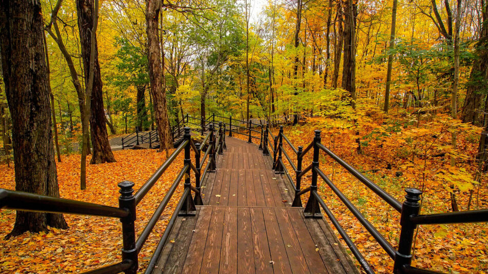 autumn-canada