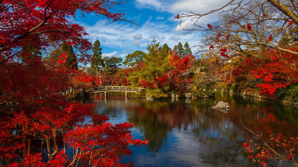 autumn-japan