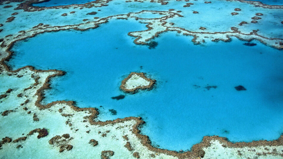 contiki-great-barrier-reef-australia-dead-risk