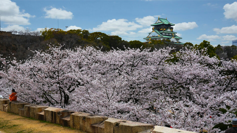 osaka-japan-cherry-blossom