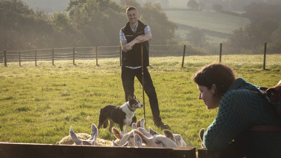 Sheepdog herding at Glenshane