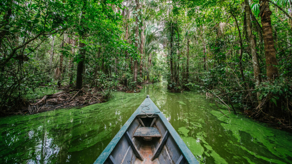 canoe in the amazon rainforest