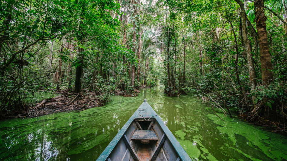 Amazon Peru