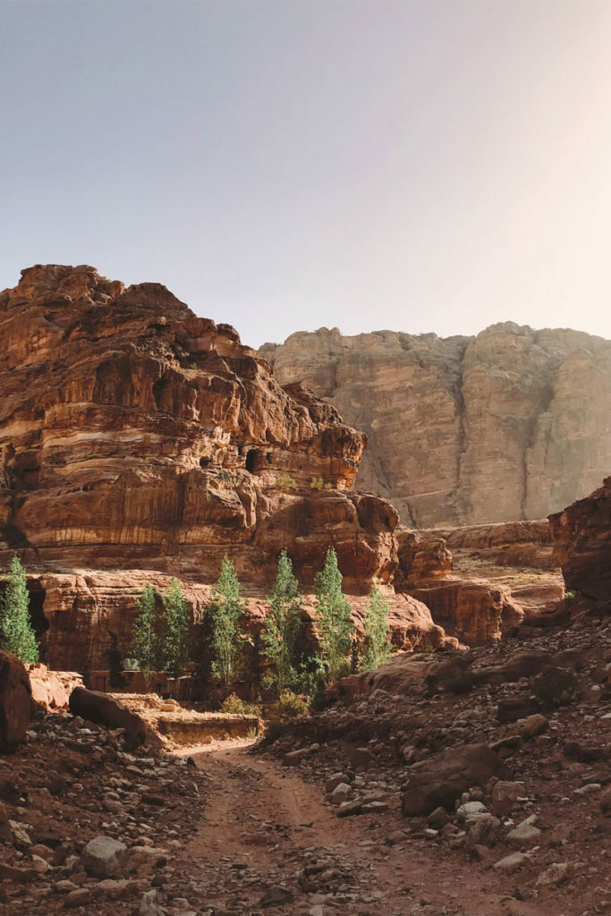 Wadi Rum tours in Jordan and Petra Jordan.