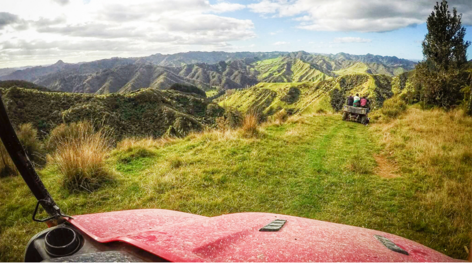 ATV Bush Safari Blue Duck Station