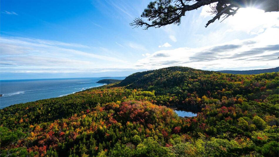 view of the Acadia National park