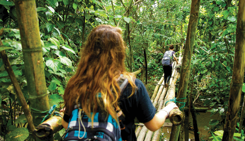 Amazon-rainforest-walk-Ecuador